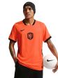 Nike Netherlands 2026 Men's Dri-Fit Short Sleeve T-Shirt IB5334-809