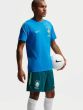 Nike Brasil Ανδρική Βερμούδα-Σορτς Dri-Fit IB5916-381
