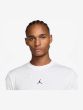 Nike Jordan Ανδρικό Κοντομάνικο T-Shirt Dri-Fit IF0882-100