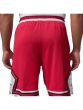 Nike Jordan Ανδρική Βερμούδα Μπάσκετ MODAS DRI-FIT IF5832-687