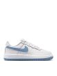 NIKE FORCE 1 LOW (PS) IQ0316-100
