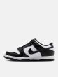 NIKE DUNK LOW (GS) IU7766-100