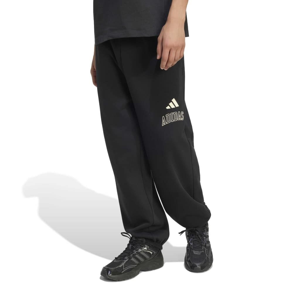 Adidas Ανδρικό Παντελόνι Φόρμας KF4258