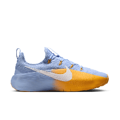 NIKE LEBRON TR 1 FJ6151-401