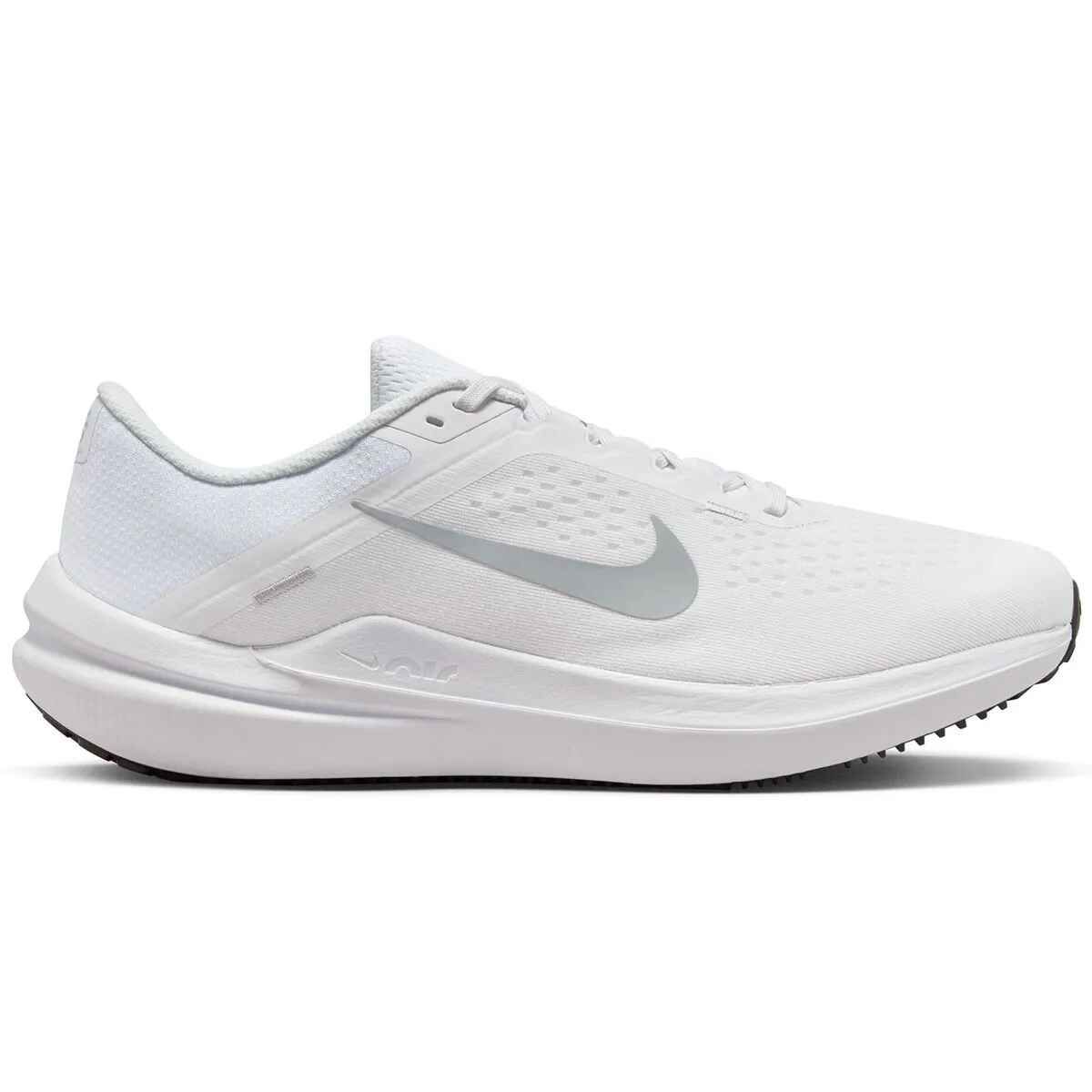 Nike Winflo 10  DV4022-102