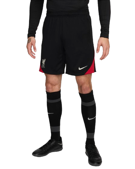 Nike Ανδρικό Σορτς Liverpool FC FN9392-010