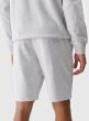 4F MEN'S SHORTS 4FWMM00TSHOM543-27M