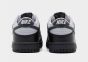 NIKE DUNK LOW (GS) IQ0311-012