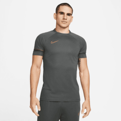 Nike Ανδρικό Κοντομάνικο T-Shirt DRI-FIT CW6101-070