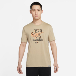 Nike Ανδρικό Κοντομάνικο T-Shirt DR7573-250