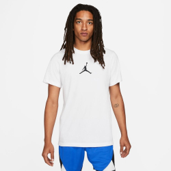 Nike Jordan Ανδρικό Κοντομάνικο T-Shirt (DRI-FIT) CW5190-102